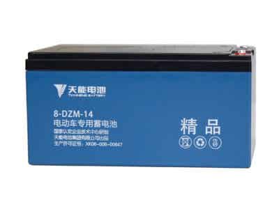 天能電池 電動(dòng)自行車(chē) 精品鋰電池